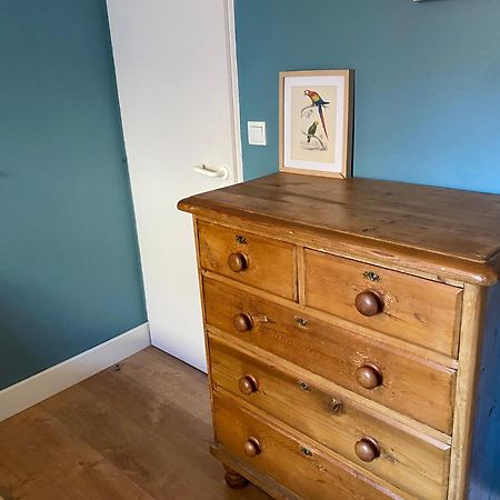 Ecolodge Appartements 2 Pieces Cosy Gare Bordeaux Bagian luar foto